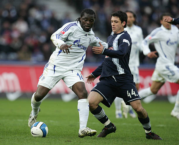 决定终止博 决定终止博